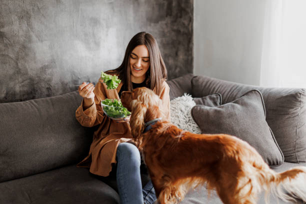 A woman is enjoying a break at home and eating a healthy vegetable salad. Her dog is hoping to get some of it too. A woman is enjoying a break at home and eating a healthy vegetable salad. Her dog is hoping to get some of it too. dog fruit and vegetables stock pictures, royalty-free photos & images