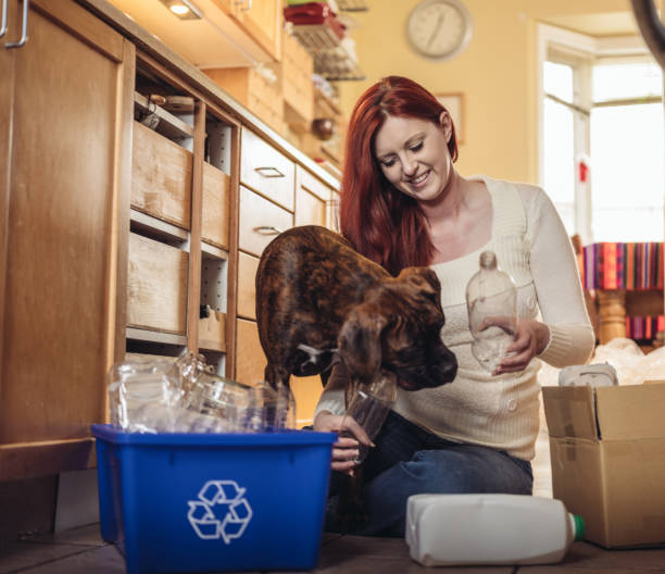Recycling in Daily Life Young Caucasian woman with long red hair sitting on the kitchen floor, sorting out the recycling in to blue box. Brown brindle boxer dog makes her company. She is casually dressed with jeans and cream top. Sunny day interior. dog recycle stock pictures, royalty-free photos & images