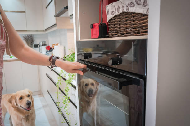Close up of woman's hand open oven with her dog. Close up of woman's hand setting temperature control on oven with her dog. oven baked dog kibble stock pictures, royalty-free photos & images