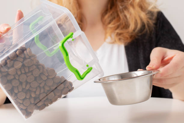 pet food storage, the owner pours dry food from the container box into the dog bowl, cat feed pet food storage, the owner pours dry food from the container box into the dog bowl, cat feed dog food storage stock pictures, royalty-free photos & images