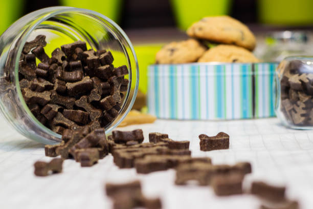 Dog treats and biscuits Dog treats spilling out of bowl. Dog treats and biscuits dog food container stock pictures, royalty-free photos & images