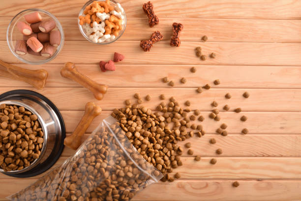 Various types of dry food for dog on table top Background with various types of dry food for feeding the dog on wood table. Top view. Horizontal composition. dog food container stock pictures, royalty-free photos & images