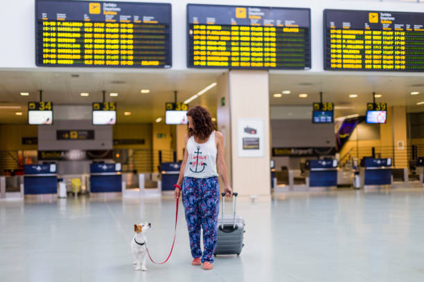 traveler woman and her dog walking by the airport. information screens background. travel and transportation with technology concept. traveler woman and her dog walking by the airport. information screens background. travel and transportation with technology concept. dog airplane stock pictures, royalty-free photos & images