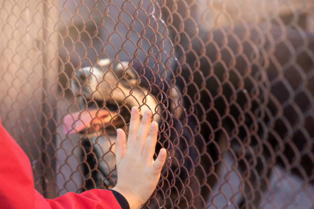 The child's hand touches the fence, the wicker fence of the animal shelter, The child's hand touches the fence, the wicker fence of the animal shelter, in the background a blurred image of a dog with an open mouth. dog adoption stock pictures, royalty-free photos & images