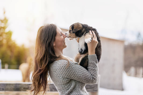 Woman with puppies Woman with puppies dog adoption stock pictures, royalty-free photos & images