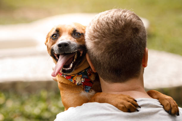 Happy dog hugging a man at dog hotel Pets playing at dog hotel dog adoption stock pictures, royalty-free photos & images