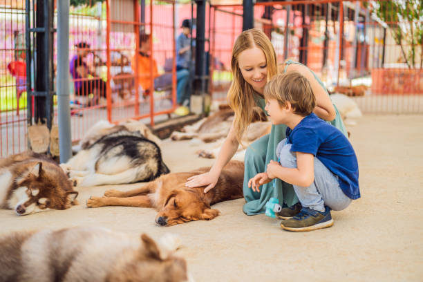 Mother and son stroking a furry dog Mother and son stroking a furry dog. dog adoption stock pictures, royalty-free photos & images