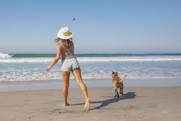 Dog Beach Woman and her dog at the beach dog fetch stock pictures, royalty-free photos & images