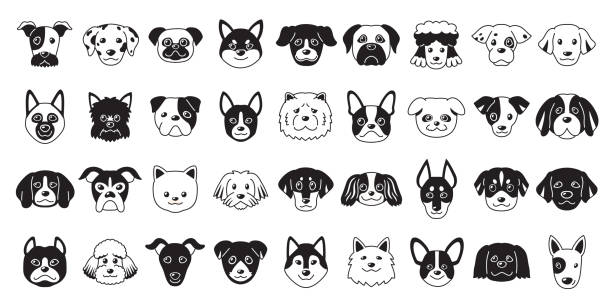 Different type of vector cartoon dog faces Different type of vector cartoon dog faces for design. dog breeds stock illustrations