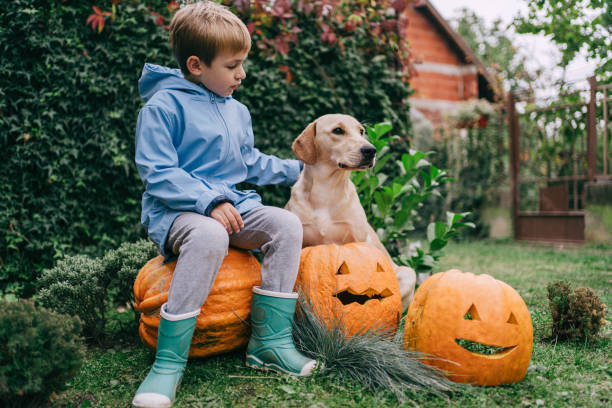 We are ready for the Halloween Photo of little boy and his dog with pumpkins in a yard, ready for the Halloween. dog halloween stock pictures, royalty-free photos & images