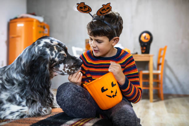 Here you go buddy! A cute boy is happy giving his dog Halloween treats dog halloween candy stock pictures, royalty-free photos & images