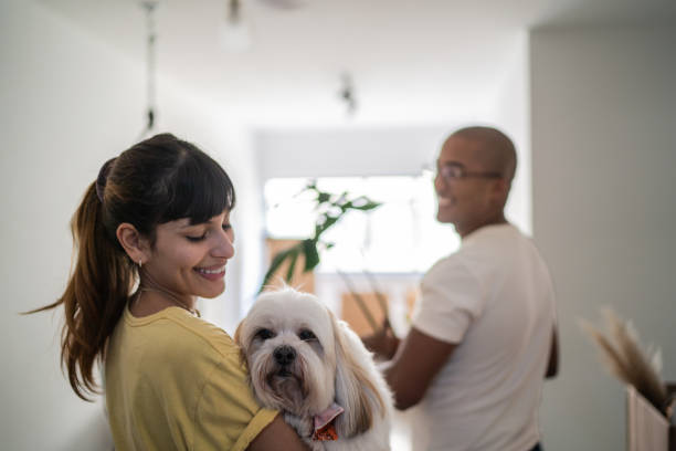 Young woman enjoying dog at home Young woman enjoying dog at home dog condo stock pictures, royalty-free photos & images