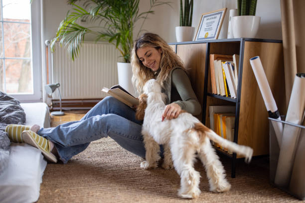 Young Caucasian woman sitting on the floor playing with her dog while reading book Portrait of young Caucasian woman sitting on the floor and reading book while playing with her dog spaniel condo stock pictures, royalty-free photos & images