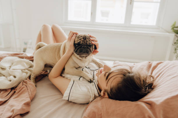 Mornings with my dog Photo of a young woman and her dog enjoying in the bedroom; the morning routine of a young woman and her pet. pug condo stock pictures, royalty-free photos & images