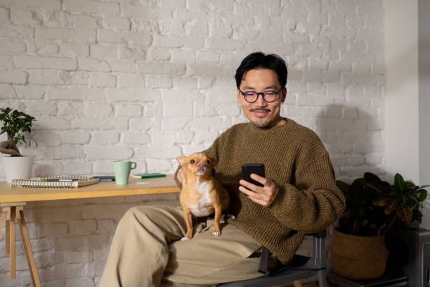 Cool Chinese guy at home with his dog Good looking elegant young Chinese men sitting on the chair at his desk using his smartphone while holding small dog in his lap at home chihuahua condo stock pictures, royalty-free photos & images