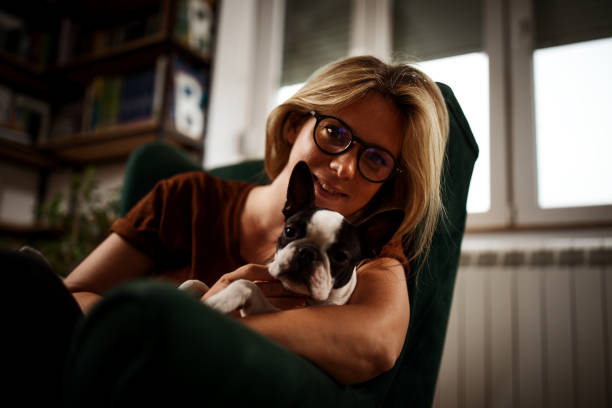 Relaxing at home A young woman is relaxing at home in her living room and posing with her dog boston terrier condo stock pictures, royalty-free photos & images