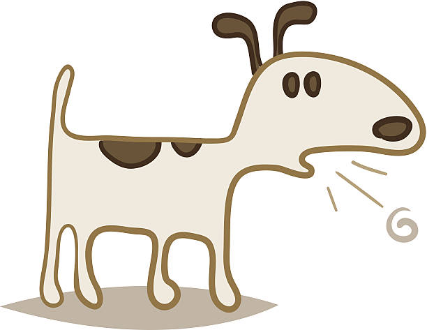 Dog coughing This is a dog coughing. dog coughing stock illustrations