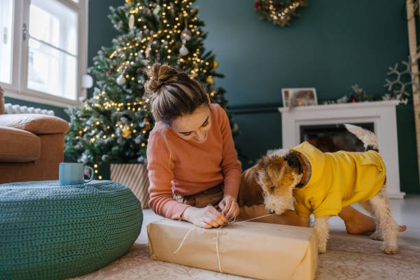Wrapping Christmas presents together Photo of a young woman and her dog wrapping Christmas presents together. dog present stock pictures, royalty-free photos & images