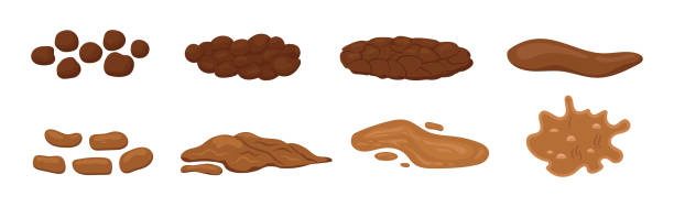 Poop excrement for bristol scale chart illustration. Poop excrement for bristol scale chart. Different type of poo - hard, soft, watery cartoon vector icon isolated on white background. Brown heap of shit . Flat design vector clip art poo illustration. dog poop stock illustrations