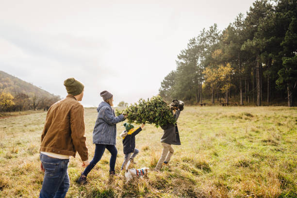 We've chosen the perfect Christmas tree! Photo of a family with two children and their dog, carrying the Christmas tree throughout the woods, after picking it out on a gloomy day; family getting ready for the upcoming holiday season. dog christmas stock pictures, royalty-free photos & images