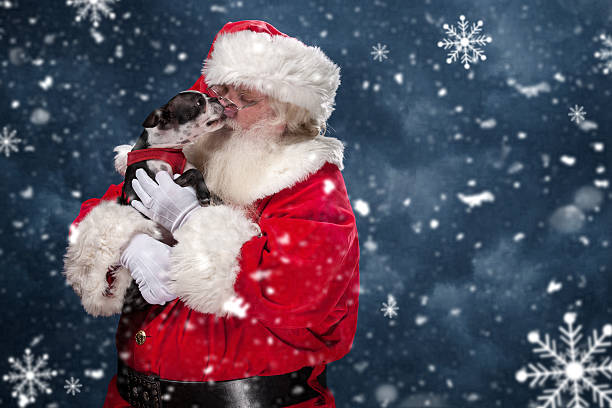 Puppy Licking Santa Claus' Face Santa Claus holds a small dog in his arms. The puppy licks Santa's face in a show of pure love. This picture has a horizontal composition, and falling snow flakes. dog santa stock pictures, royalty-free photos & images