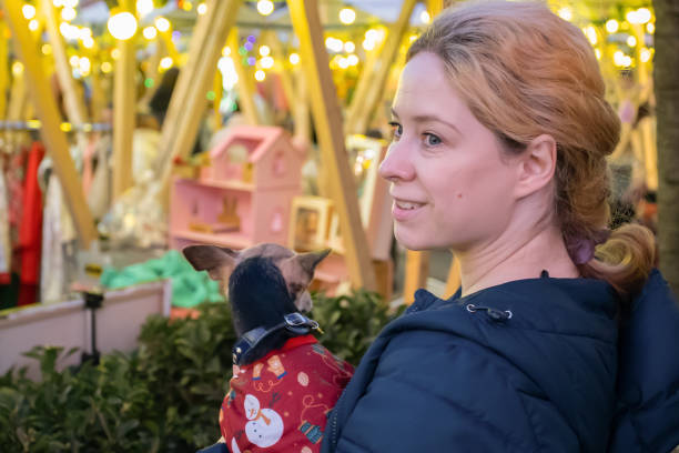 christmas fair, christmas celebrations at night in the town square, christmas eve, a woman with a dog among decorated shopping houses and lights christmas fair, christmas celebrations at night in the town square, christmas eve, a woman with a dog among decorated shopping houses and lights dog winter market stock pictures, royalty-free photos & images