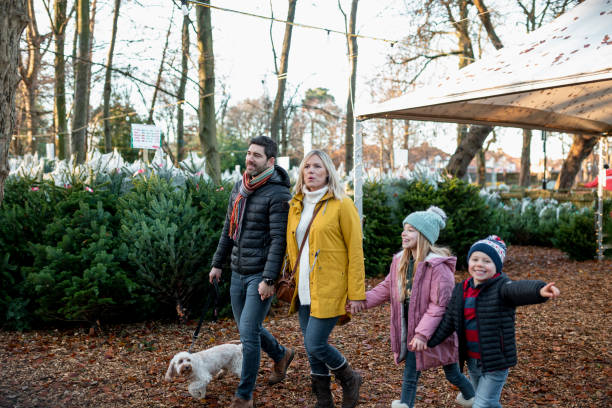 Family Choosing a Christmas Tree A family with two children wearing warm clothing shopping for a Christmas tree at a Christmas market in Northeastern England. dog winter market stock pictures, royalty-free photos & images