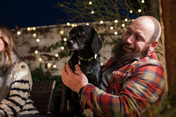 Mans Best Friend A mature male adult sitting with his Cockador pet dog smiling and laughing in the garden. There are string lights in the background. dog christmas lights outside stock pictures, royalty-free photos & images