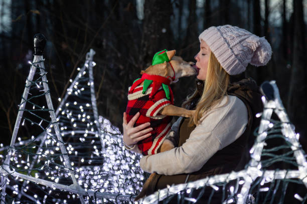 Girl with Dog in Christmas Girl with a Chihuahua dressed in Christmas Theme with lights in the background. Taken in Lafarge Lake, Coquitlam, Vancouver, BC, Canada. dog christmas lights outside stock pictures, royalty-free photos & images