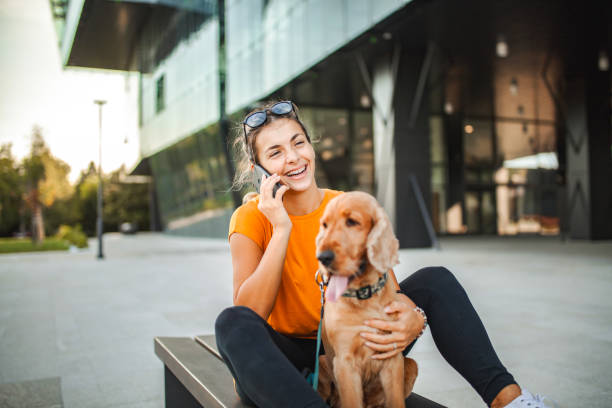 Young woman talking on the phone while sitting on the bench with her cocker spaniel dog Young woman talking on the phone while sitting on the bench with her cocker spaniel dog dog walk city stock pictures, royalty-free photos & images