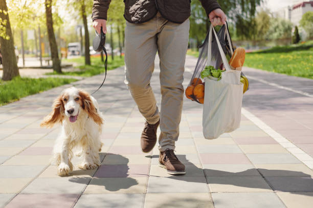 Dog walks next to a man with bag of groceries. Urban life with pets, dogs as companions dog walk city stock pictures, royalty-free photos & images
