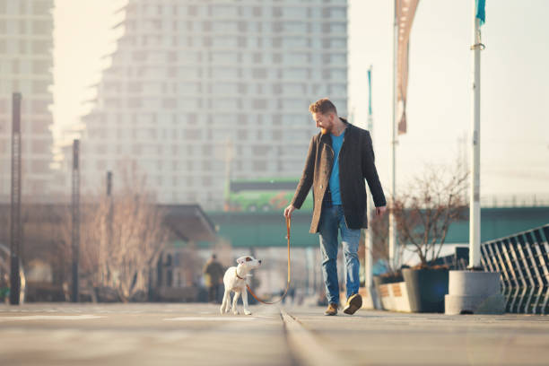 Handsome young man spending time with his dog Handsome young man spending time with his dog walking outdoors in the city dog walk city stock pictures, royalty-free photos & images