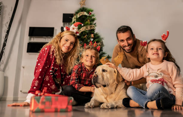 Happy family with their labrador dog sitting on the floor celebrating christmas looking at the camera. Happy family with their labrador dog sitting on the floor celebrating christmas looking at the camera. dog christams camera stock pictures, royalty-free photos & images