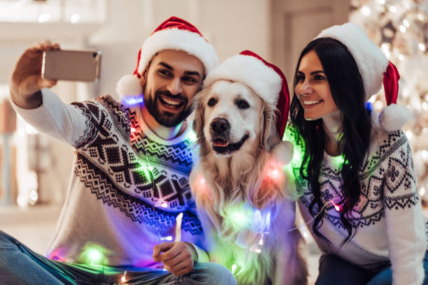 Happy couple with dog labrador retriever waiting for the New Year. Merry Christmas and Happy New Year! Happy couple with dog labrador retriever waiting for the New Year in Santa Claus hats while sitting near beautiful Christmas tree at home. Smiling and making selfie dog christams camera stock pictures, royalty-free photos & images