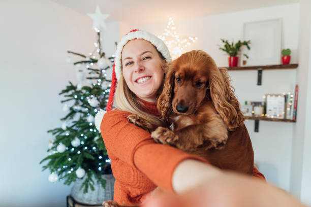 Christmas Selfie With The Dog A point of view close up of a woman and her pet dog which is a cocker spaniel taking a selfie with the Christmas tree in the background n her family home in the North East of England. dog christams camera stock pictures, royalty-free photos & images