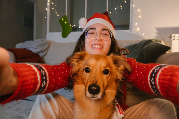 Selfie of a young woman with her dog at Christmas. Christmas concept. Selfie of a young woman with her dog at Christmas. Christmas concept. dog christams camera stock pictures, royalty-free photos & images