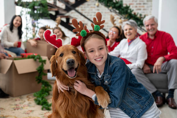 Beautiful portrait of a happy girl and her dog celebrating Christmas Beautiful portrait of a happy girl and her dog celebrating Christmas with the family and wearing reindeer ears dog christmas guests at the door stock pictures, royalty-free photos & images