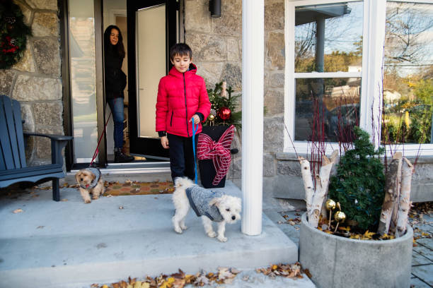 Mother and son getting out of the house to go walk the dogs. Mother and son getting out of the house to go walk the dogs. They are dressed with warm clothes. Mother is in her forties, kid is 8 year’s old. Dogs are Morkies. Horizontal full length outdoors shot with copy space. dog christmas guests at the door stock pictures, royalty-free photos & images