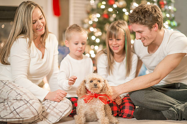Playing with a New Puppy A family is playing with their puppy they got for Christmas. dog christmas guests at the door stock pictures, royalty-free photos & images