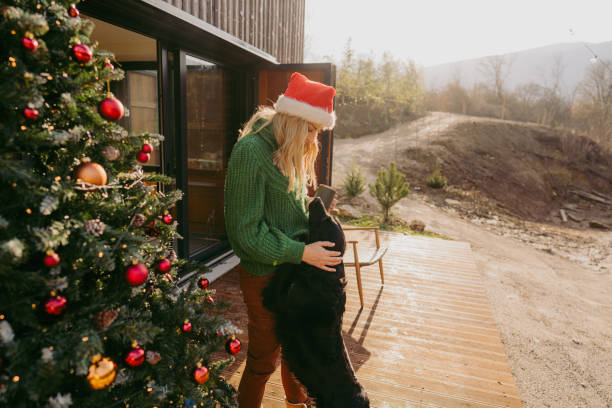 Our favorite time of the year Photo of a young woman petting her dog as they are enjoying their Christmas morning at home. dog christmas guests at the door stock pictures, royalty-free photos & images