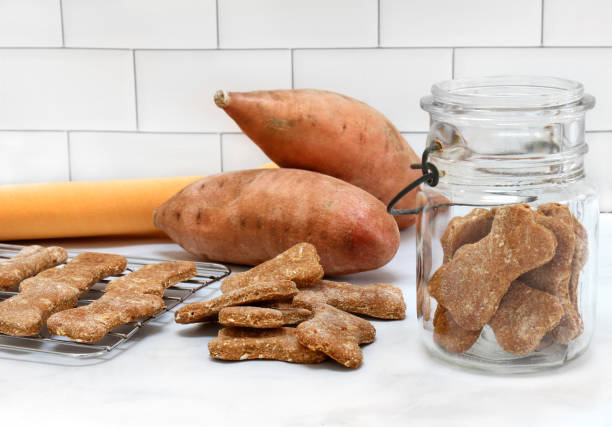 Sweet potato dog biscuits stacked, in jar and on cooling rack. Dog cookies made from sweet potatoes on a rack, in a jar and stacked. Sweet potatoes in background. dog sweet potato stock pictures, royalty-free photos & images