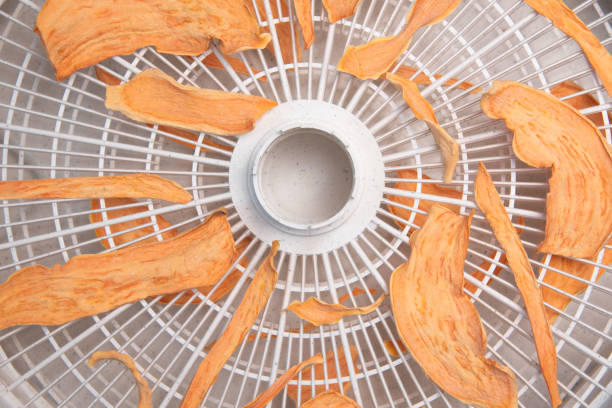 Sweet potato dog chews. Healthy, dehydrated sweet potato dog chews or treats. sweet potato dog stock pictures, royalty-free photos & images