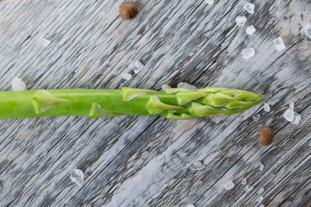 Bunch of fresh green asparagus Bunch of fresh green asparagus dog asparagus stock pictures, royalty-free photos & images