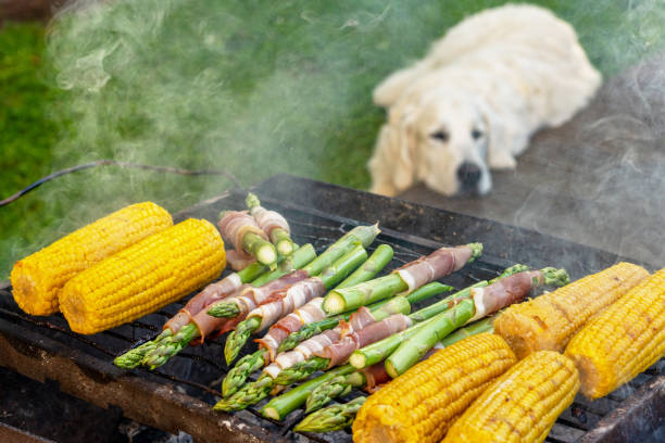 Gourmet barbecue. Grill veggies - corn, asparagus with bacon and prosciutto. Golden retriever napping during family barbeque in the backstage of summer terrace. Gourmet barbecue. Grill veggies - corn, asparagus with bacon and prosciutto. Golden retriever napping during family barbeque in the backstage of summer terrace. dog asparagus stock pictures, royalty-free photos & images