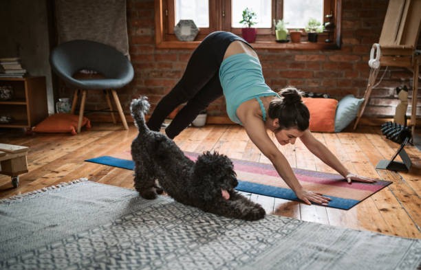 Woman doing yoga with her dog Young woman practicing downward facing dog pose playing with her pet in the living room dog exercise stock pictures, royalty-free photos & images