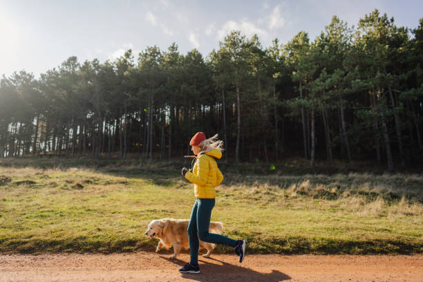 Young woman jogging with her dog Photo of a young woman jogging with her golden retriever, who keeps her company during exercise dog exercise stock pictures, royalty-free photos & images