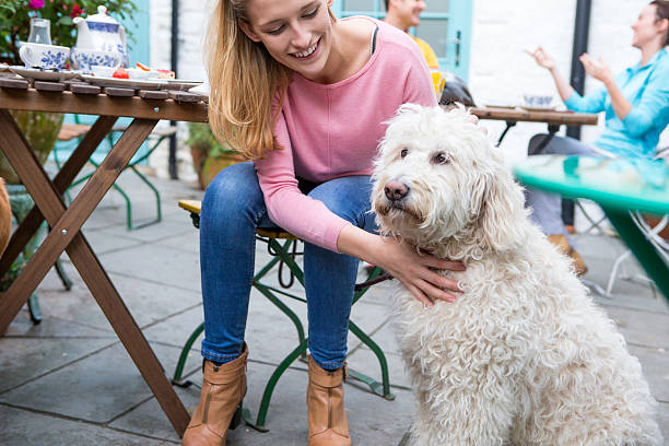 I Love My Dog! A happy woman sits at a table outside of a cafe with her dog by her side. She is smiling as she strokes it. There is some hot drinks on the table behind her. dog restaurant stock pictures, royalty-free photos & images