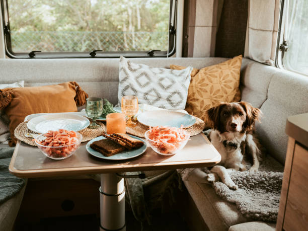 Caravan camping lifestyle with dinner served and dog Caravan camping lifestyle  with dinner served and dog dog shrimp stock pictures, royalty-free photos & images