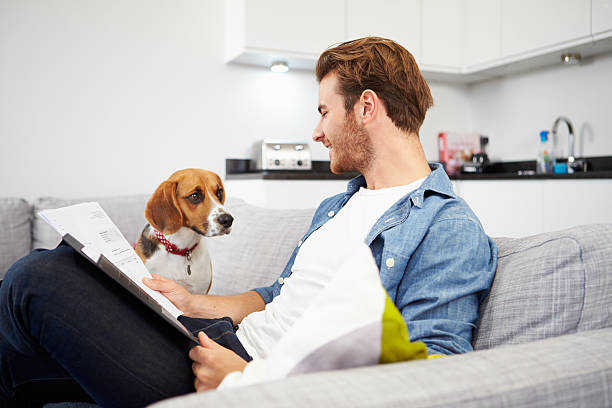 Man Looking At Paperwork And Playing With Dog At Home Man Looking At Paperwork And Playing With Pet Dog At Home pet insurance stock pictures, royalty-free photos & images