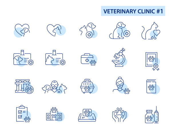 Set of veterinary clinic pet care icons. Doctor, checkup, vaccine, cat and dog love. Pixel perfect, editable stroke line art. Set of veterinary clinic pet care icons. Doctor, checkup, vaccine, cat and dog love. Pixel perfect, editable stroke line art. pet insurance stock illustrations